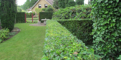 Tuin J.